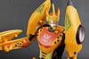 Club Exclusives Cheetor - Image #86 of 141
