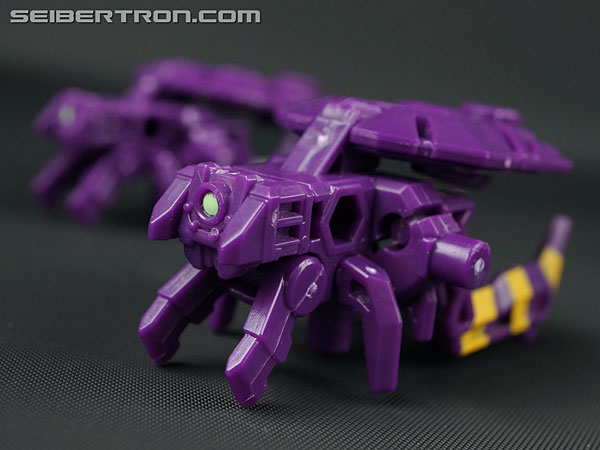 Transformers Subscription Service Arachnoids (Image #16 of 45)