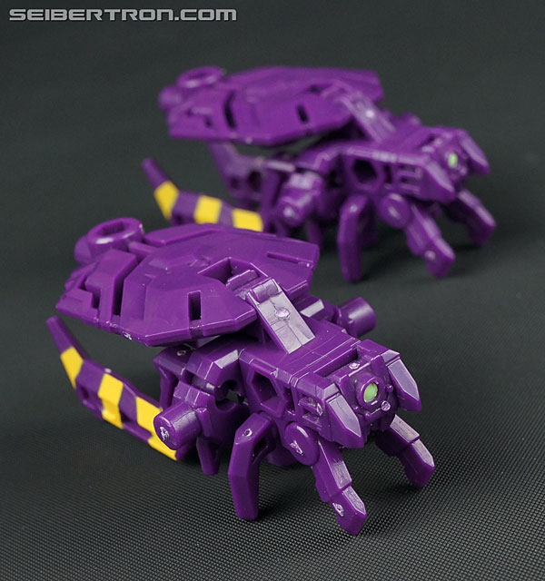 Transformers Subscription Service Arachnoids (Image #19 of 45)