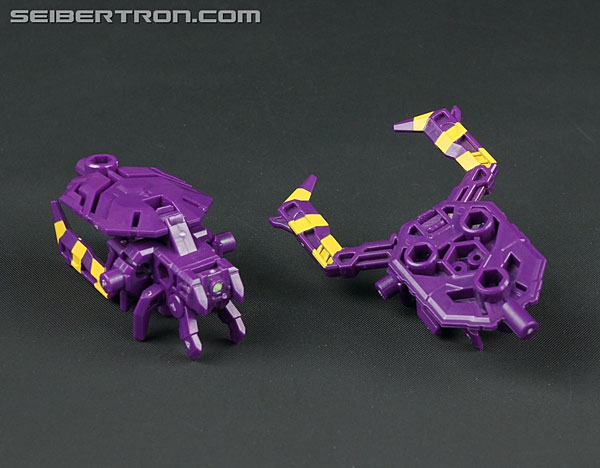 Transformers Subscription Service Arachnoids (Image #22 of 45)
