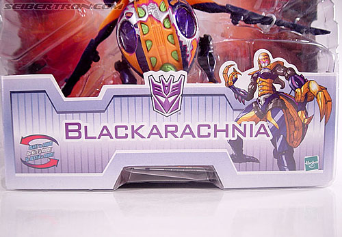 Transformers Universe Blackarachnia (Image #2 of 71)