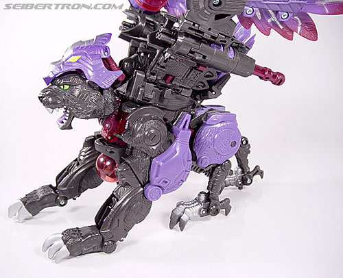 Transformers Universe Razorclaw (Image #29 of 86)