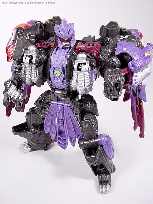 Transformers Universe Razorclaw (Image #63 of 86)