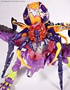 Universe Blackarachnia - Image #34 of 71