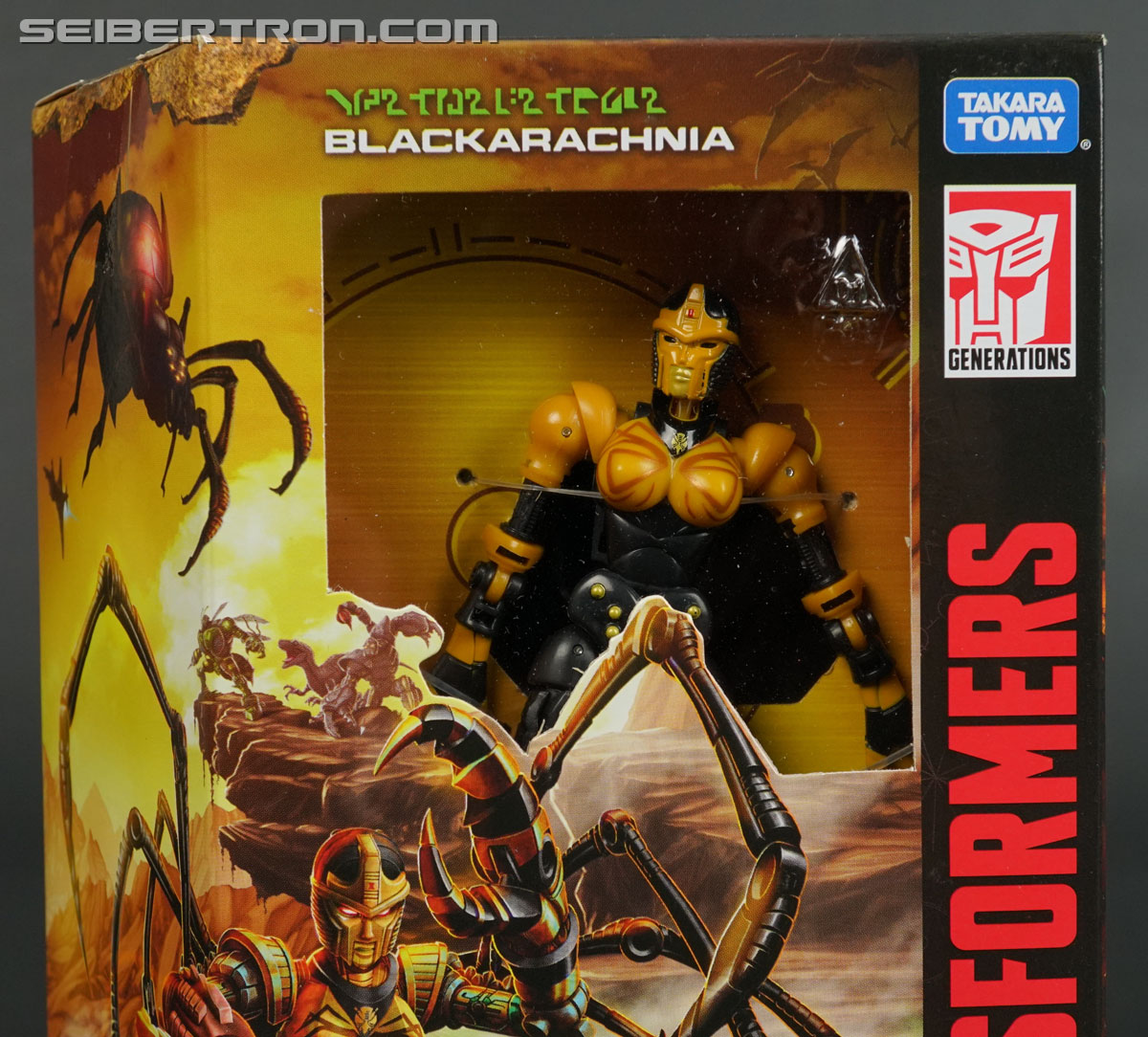Transformers War for Cybertron: Kingdom Blackarachnia (Image #4 of 162)