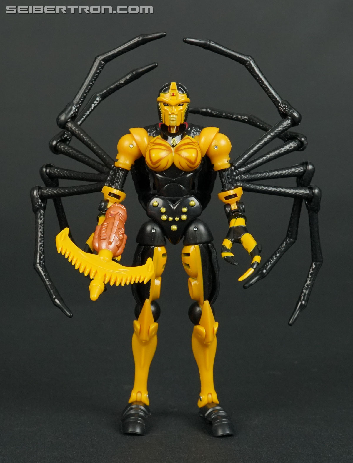 Transformers War for Cybertron: Kingdom Blackarachnia (Image #78 of 162)