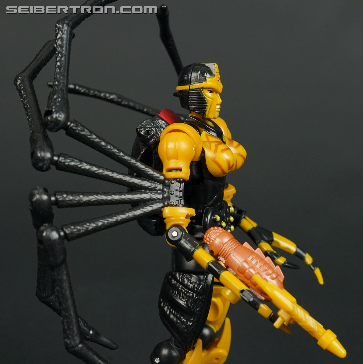 Transformers War for Cybertron: Kingdom Blackarachnia (Image #87 of 162)