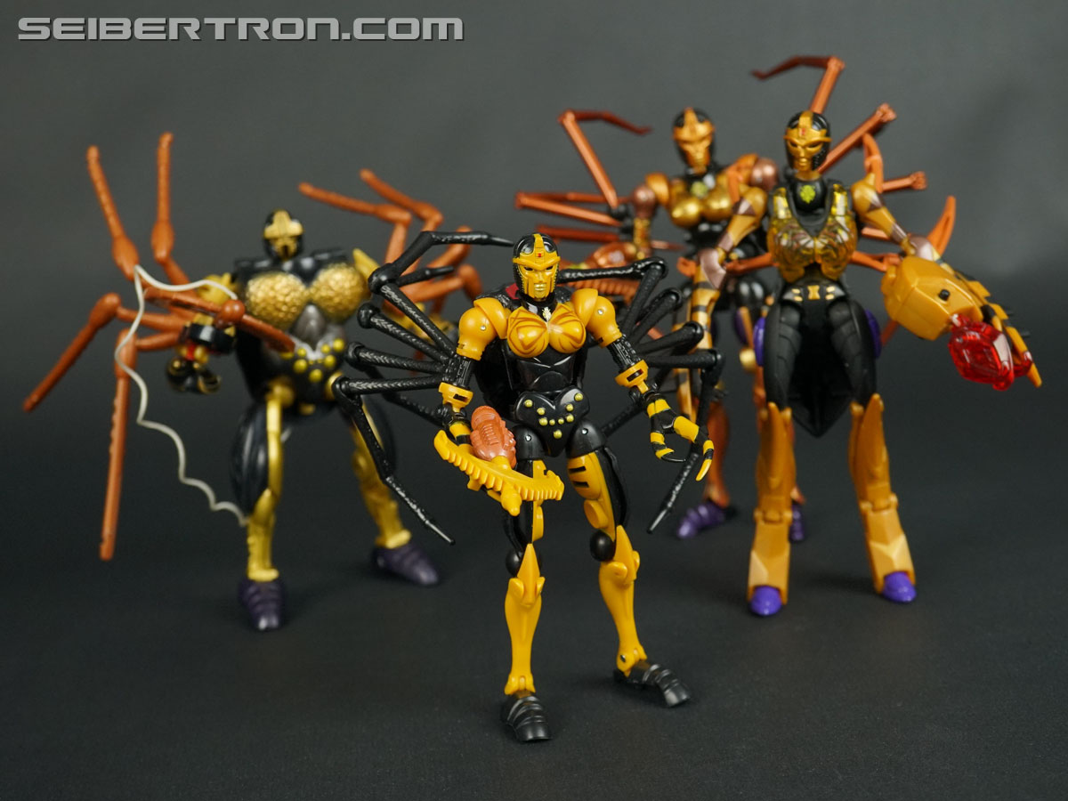 Transformers War for Cybertron: Kingdom Blackarachnia (Image #130 of 162)