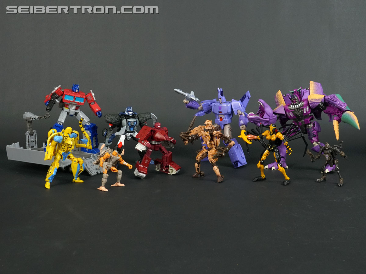Transformers War for Cybertron: Kingdom Blackarachnia (Image #144 of 162)