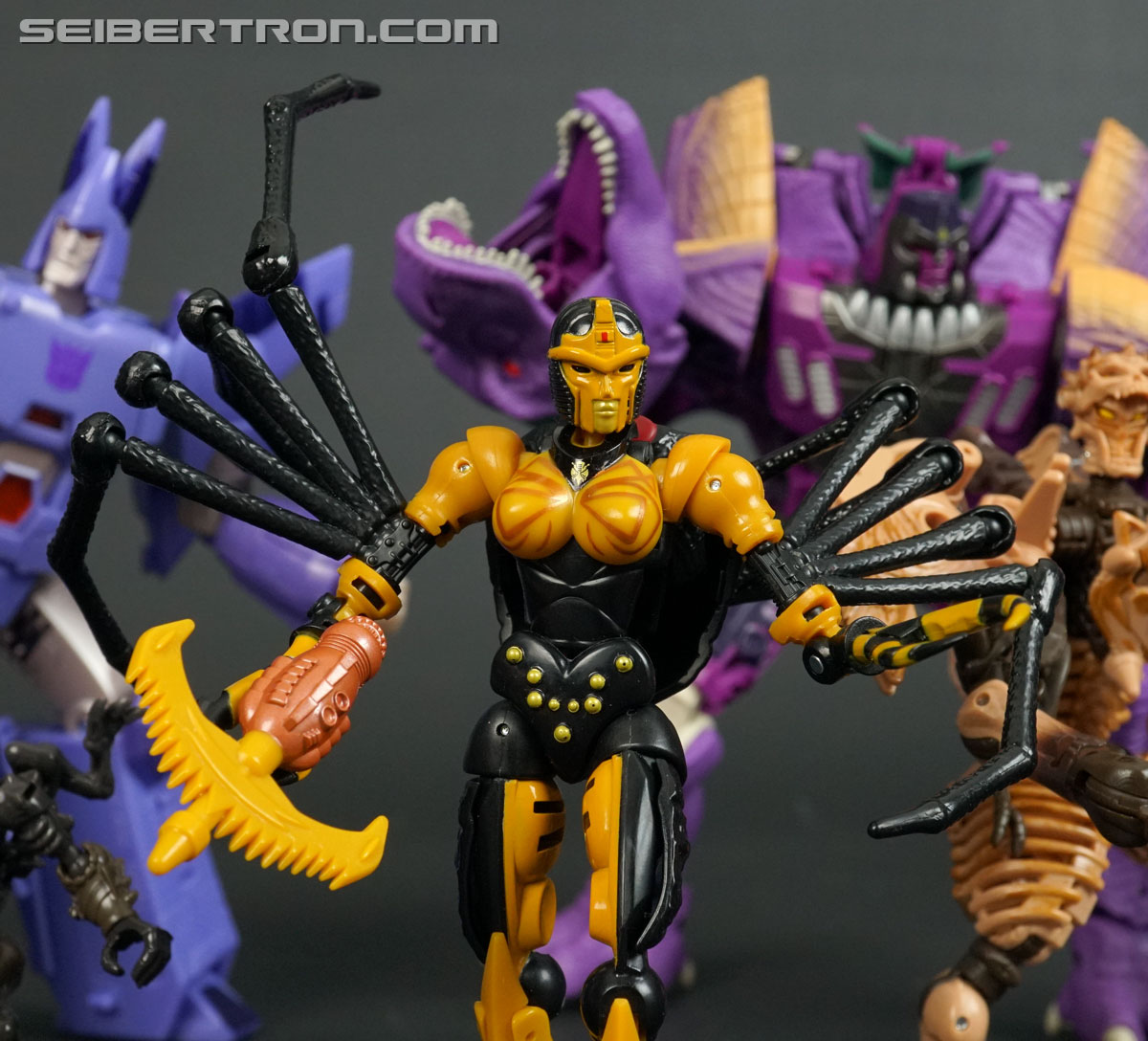 Transformers War for Cybertron: Kingdom Blackarachnia (Image #158 of 162)
