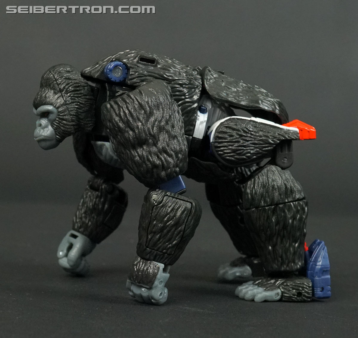 Transformers War for Cybertron: Kingdom Optimus Primal (Image #40 of 221)