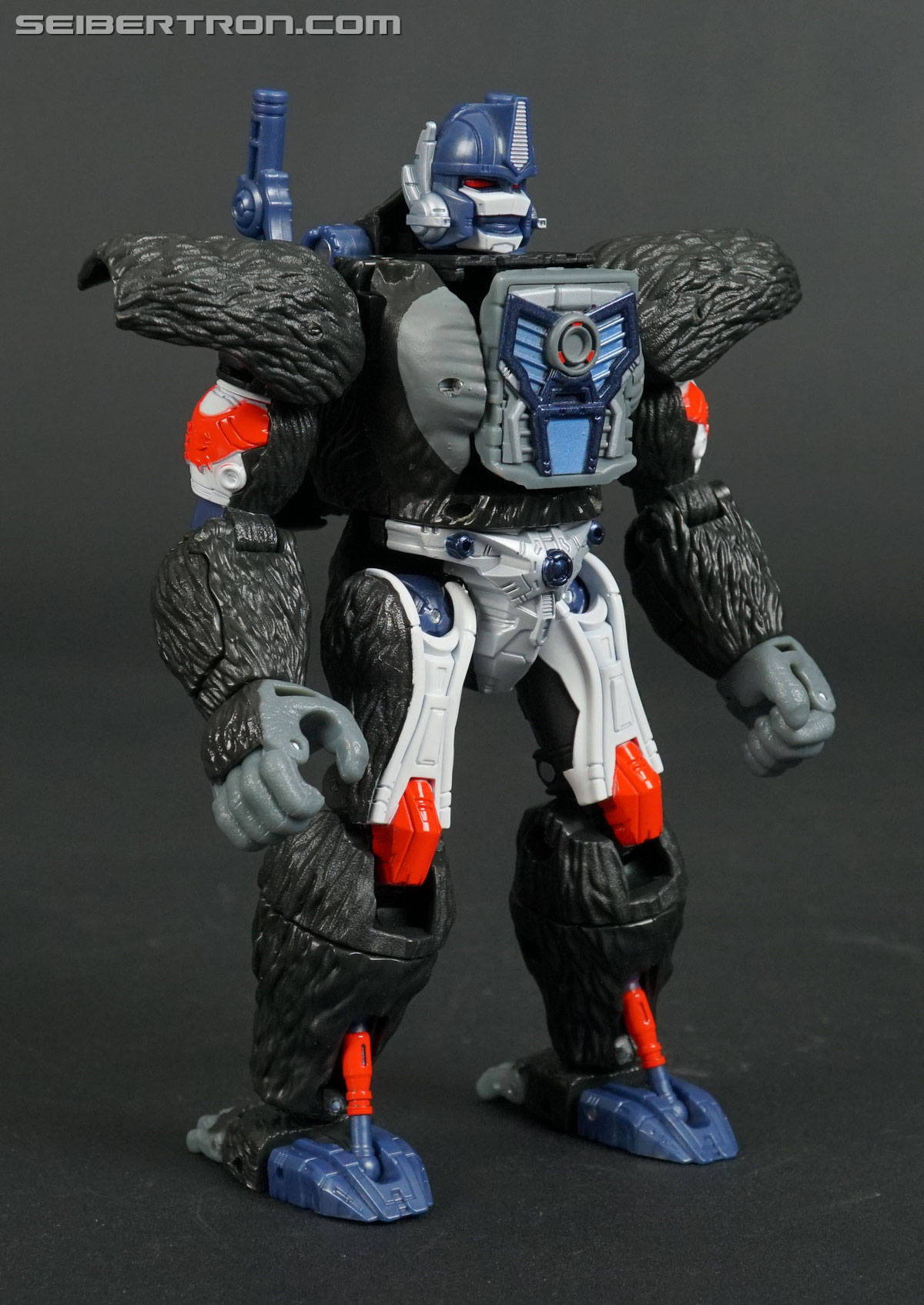 Transformers War for Cybertron: Kingdom Optimus Primal (Image #114 of 221)