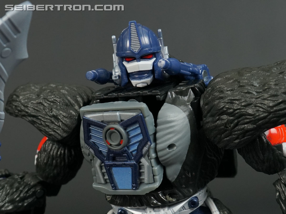 Transformers War for Cybertron: Kingdom Optimus Primal (Image #148 of 221)
