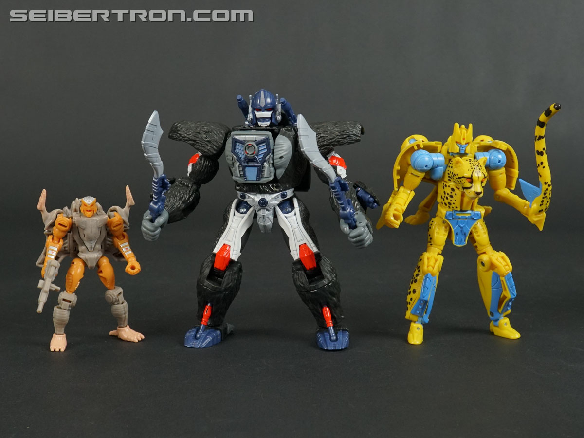 Transformers War for Cybertron: Kingdom Optimus Primal (Image #157 of 221)