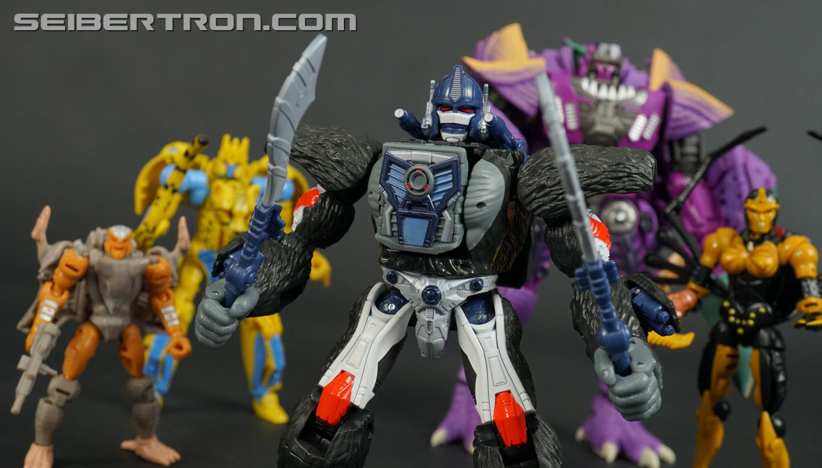 Transformers War for Cybertron: Kingdom Optimus Primal (Image #164 of 221)