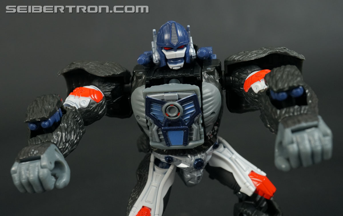 Transformers War for Cybertron: Kingdom Optimus Primal (Image #186 of 221)