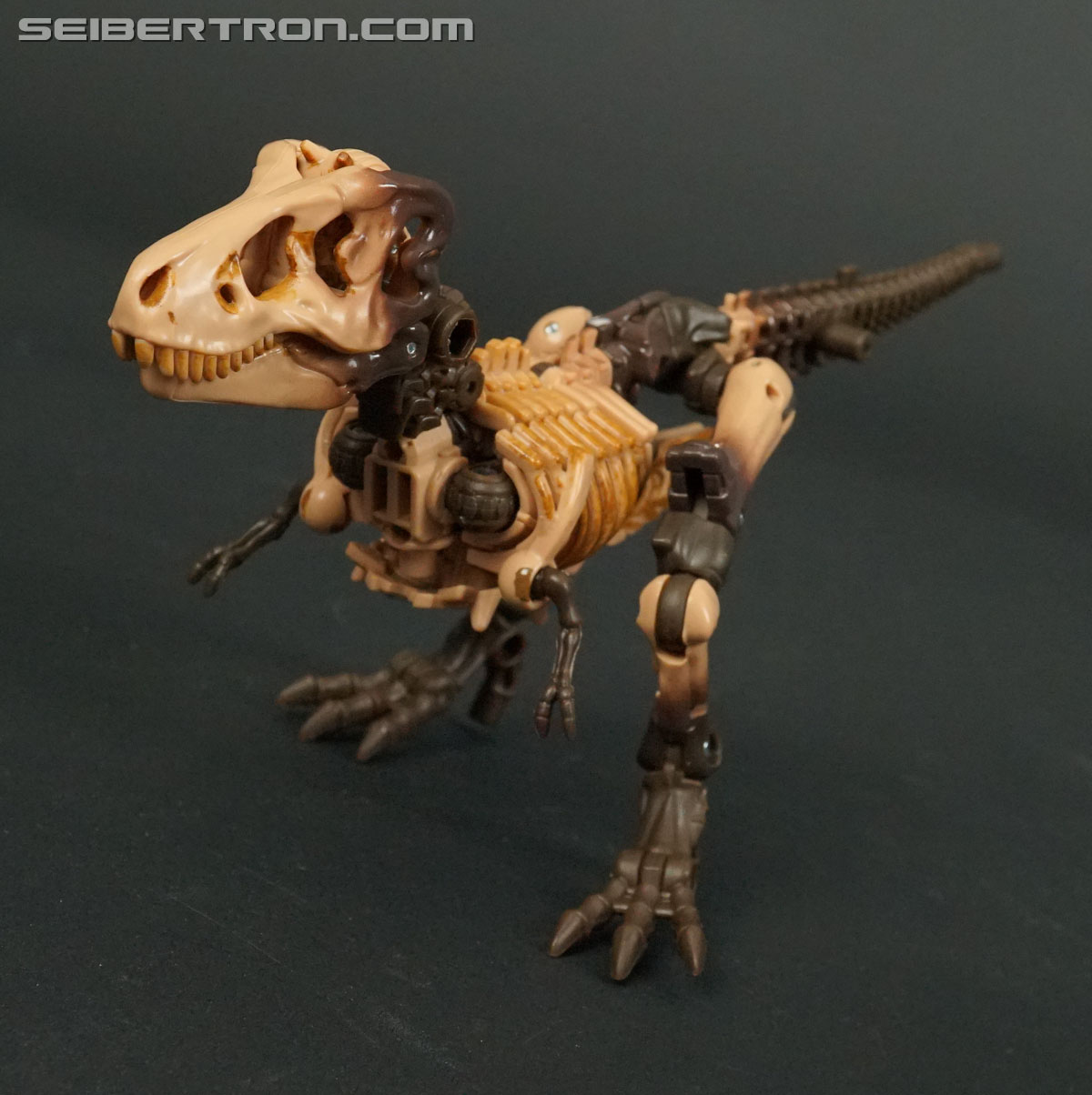 Transformers War for Cybertron: Kingdom Paleotrex (Image #51 of 173)