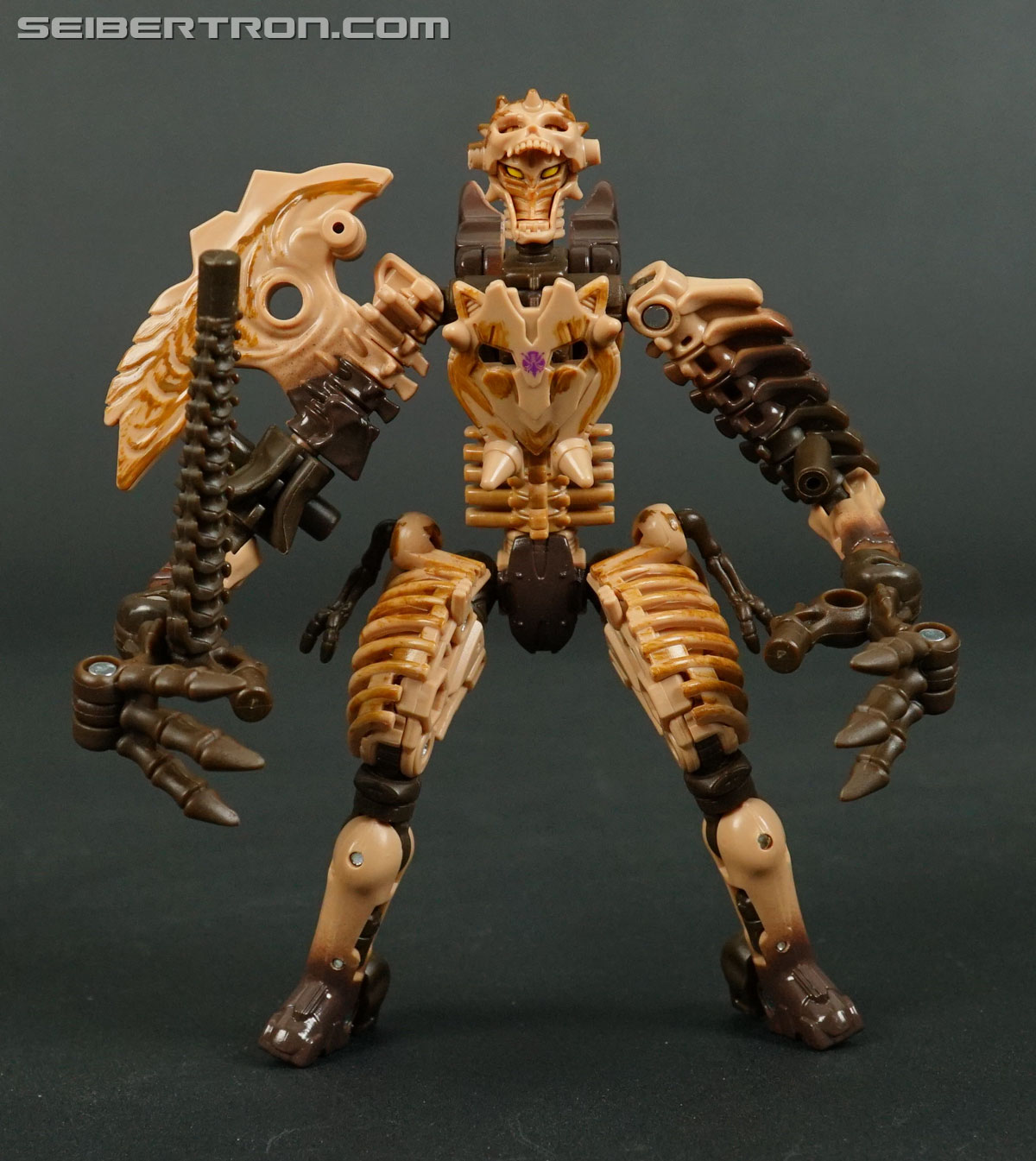 Transformers War for Cybertron: Kingdom Paleotrex (Image #78 of 173)