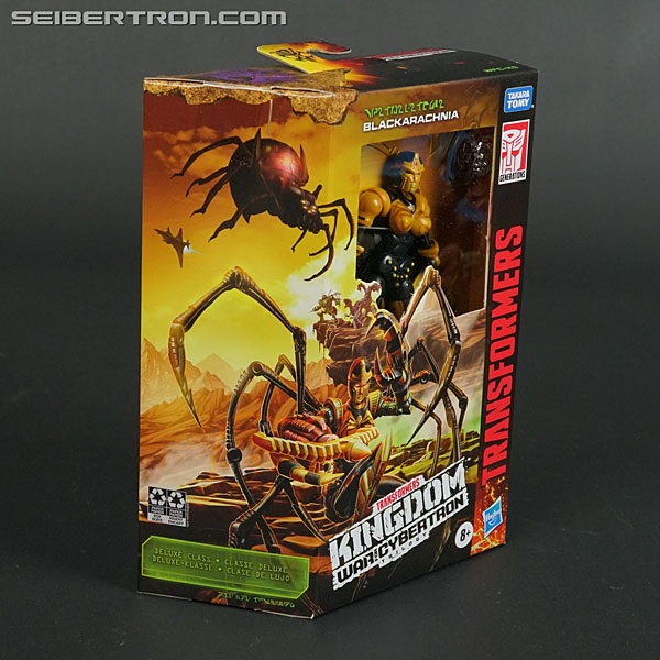 Transformers War for Cybertron: Kingdom Blackarachnia (Image #5 of 162)