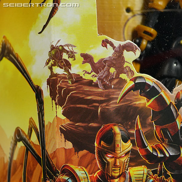 Transformers War for Cybertron: Kingdom Blackarachnia (Image #6 of 162)