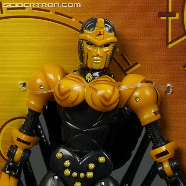 Transformers War for Cybertron: Kingdom Blackarachnia (Image #19 of 162)