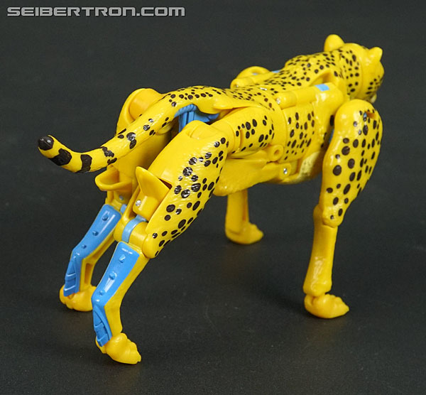 Transformers War for Cybertron: Kingdom Cheetor (Image #36 of 153)