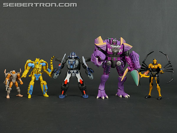Transformers War for Cybertron: Kingdom Cheetor (Image #141 of 153)
