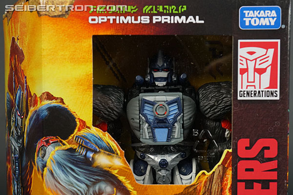 Transformers War for Cybertron: Kingdom Optimus Primal (Image #6 of 221)