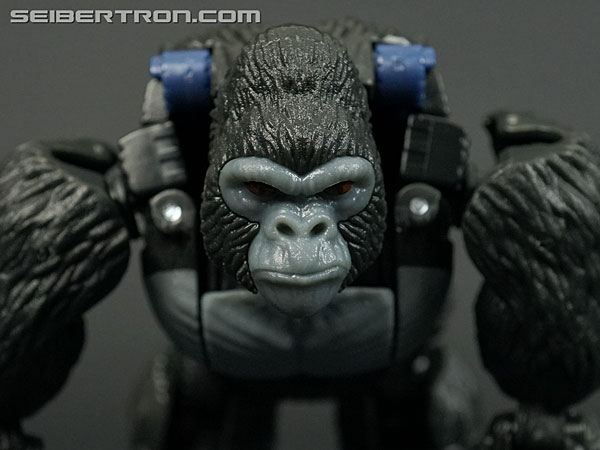 Transformers War for Cybertron: Kingdom Optimus Primal (Image #32 of 221)