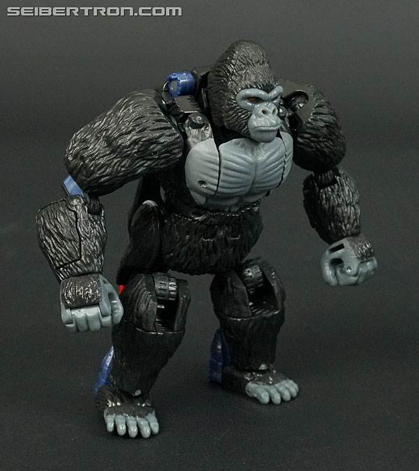 Transformers War for Cybertron: Kingdom Optimus Primal (Image #53 of 221)