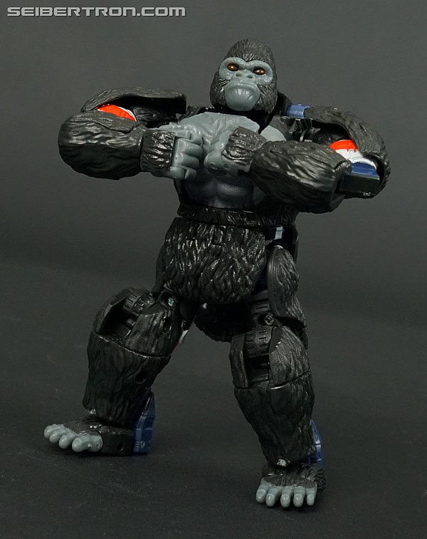 Transformers War for Cybertron: Kingdom Optimus Primal (Image #69 of 221)