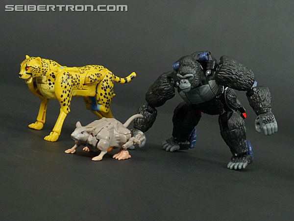 Transformers War for Cybertron: Kingdom Optimus Primal (Image #81 of 221)