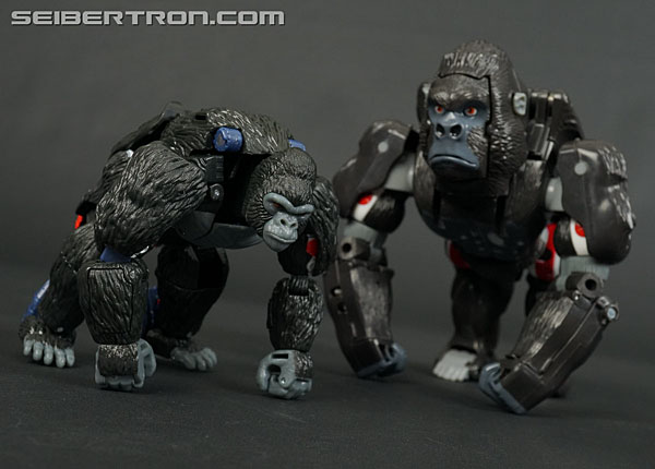 Transformers War for Cybertron: Kingdom Optimus Primal (Image #105 of 221)