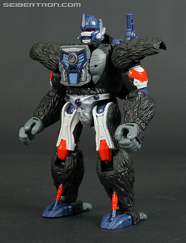 Transformers War for Cybertron: Kingdom Optimus Primal (Image #124 of 221)