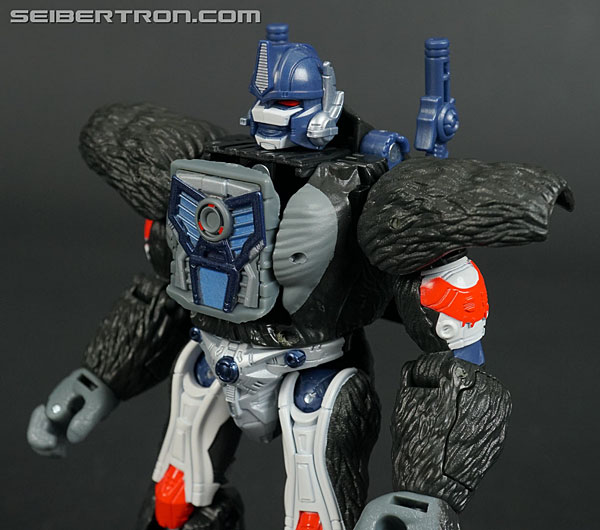 Transformers War for Cybertron: Kingdom Optimus Primal (Image #126 of 221)