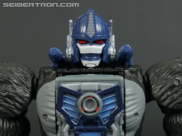 Transformers War for Cybertron: Kingdom Optimus Primal (Image #138 of 221)