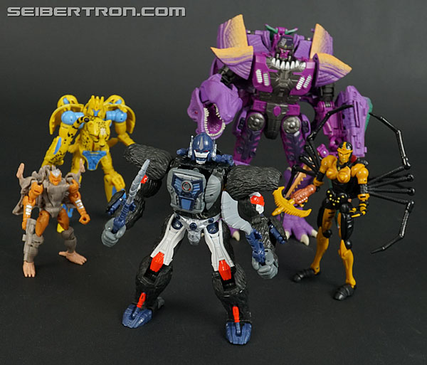 Transformers War for Cybertron: Kingdom Optimus Primal (Image #162 of 221)