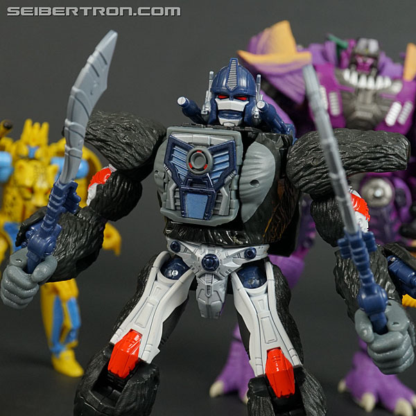 Transformers War for Cybertron: Kingdom Optimus Primal (Image #165 of 221)