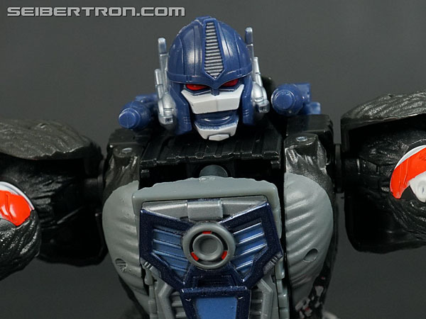 Transformers War for Cybertron: Kingdom Optimus Primal (Image #187 of 221)