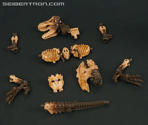 Transformers War for Cybertron: Kingdom Paleotrex (Image #58 of 173)