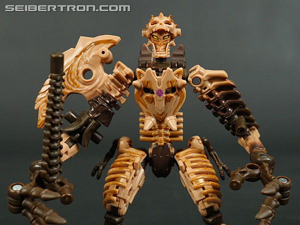 Transformers War for Cybertron: Kingdom Paleotrex (Image #79 of 173)