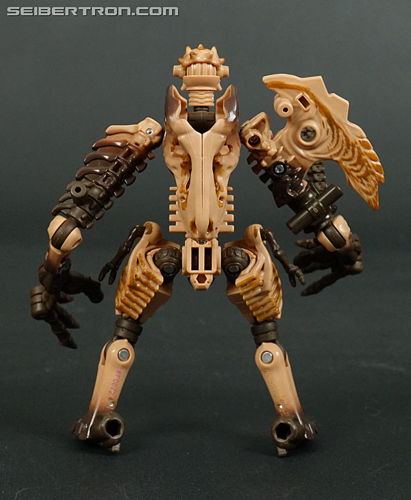 Transformers War for Cybertron: Kingdom Paleotrex (Image #89 of 173)