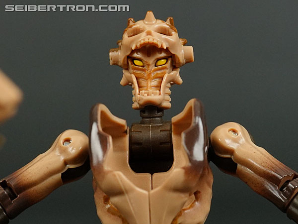 Transformers War for Cybertron: Kingdom Paleotrex (Image #113 of 173)