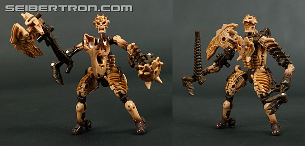 Transformers War for Cybertron: Kingdom Paleotrex (Image #115 of 173)