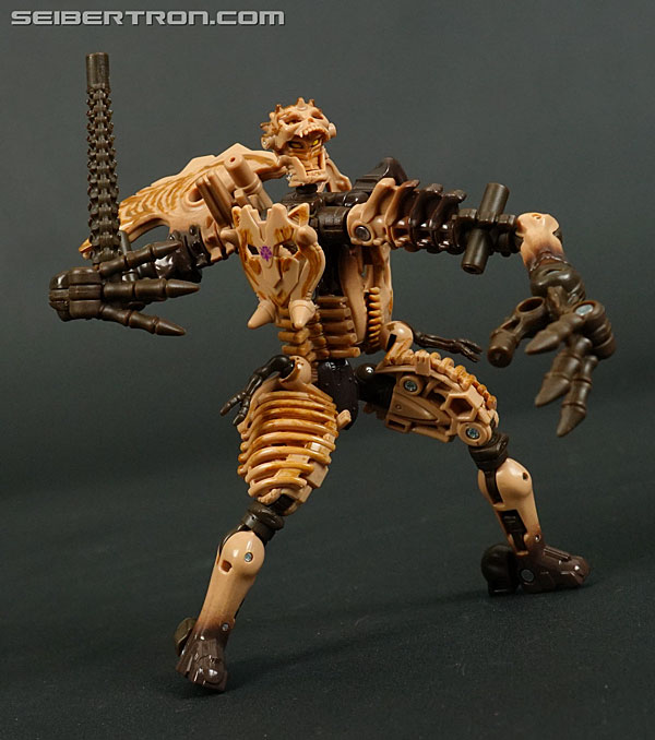 Transformers War for Cybertron: Kingdom Paleotrex (Image #128 of 173)