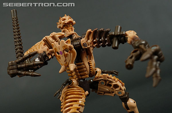 Transformers War for Cybertron: Kingdom Paleotrex (Image #129 of 173)
