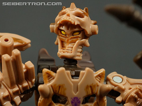 Transformers War for Cybertron: Kingdom Paleotrex (Image #139 of 173)