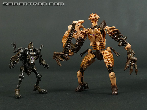Transformers War for Cybertron: Kingdom Paleotrex (Image #147 of 173)