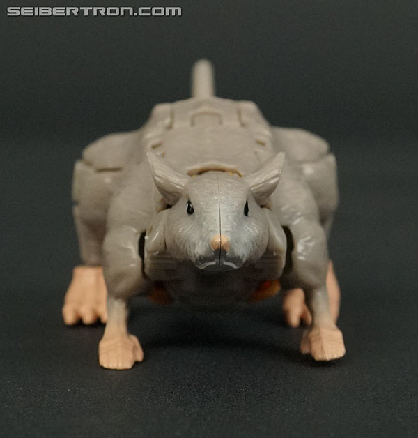 Transformers War for Cybertron: Kingdom Rattrap (Image #16 of 131)
