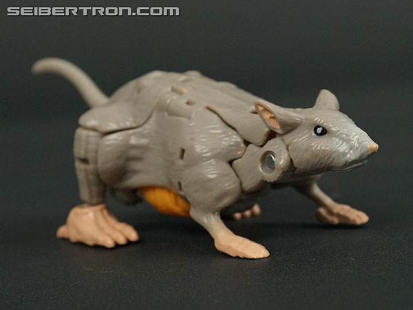 Transformers War for Cybertron: Kingdom Rattrap (Image #18 of 131)